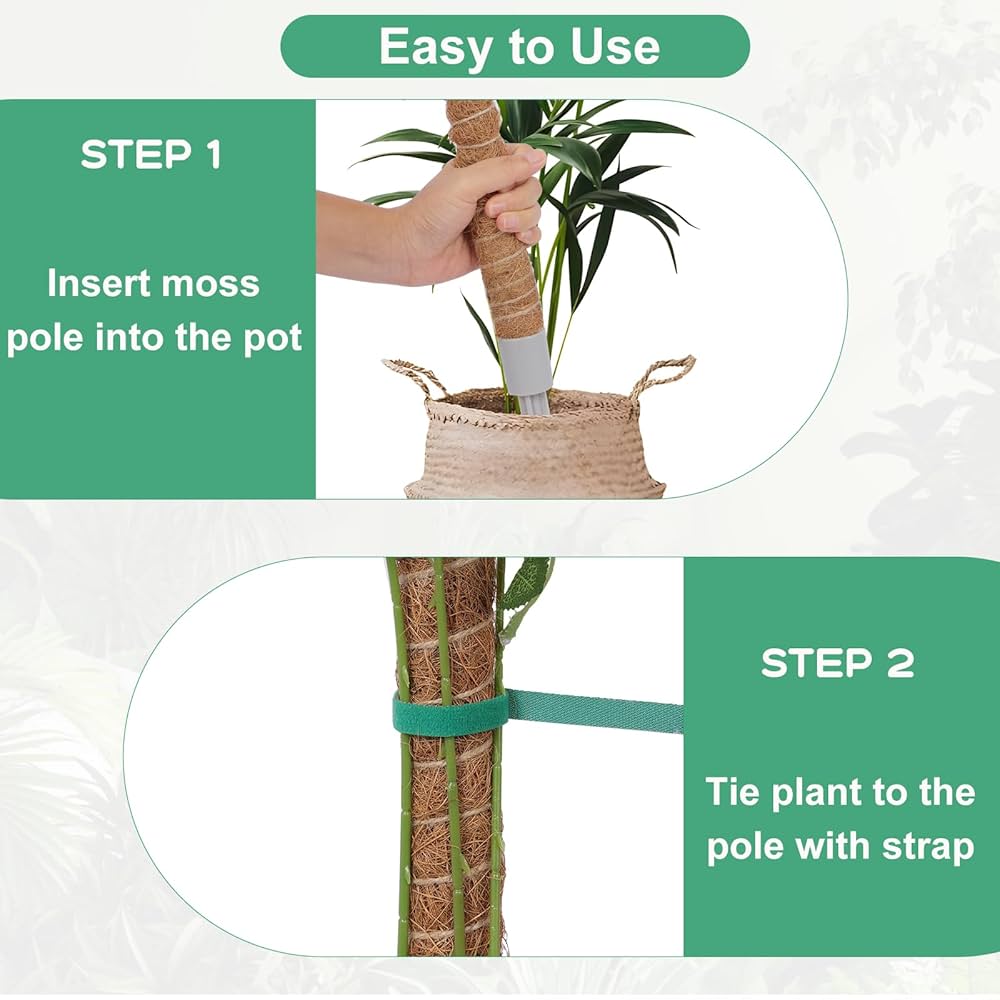 新品未使用　MOSS STICK 50SW Amazon.com : 3 Pack Moss Pole, 50 Inch Monstera Plant